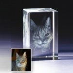 Cat Photo Crystal Engraved in 3D from your photo